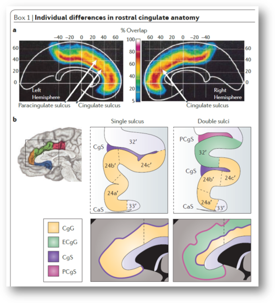 figure12