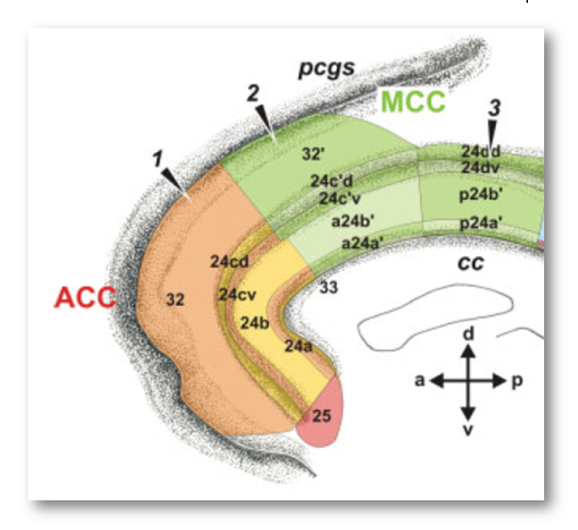 figure13