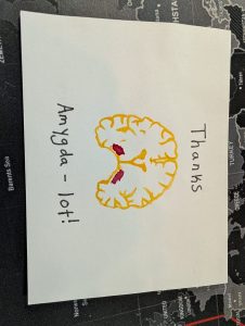1043